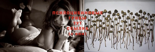 ГАЛЛЮЦИНОГЕННЫЕ ГРИБЫ Абинск