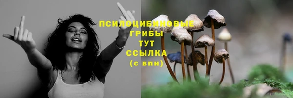 эйфоретик Абдулино