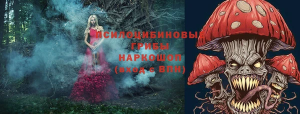 гидропоника Абаза